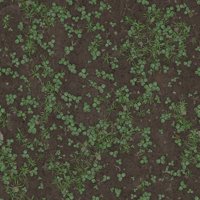 Asset preview